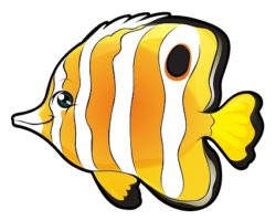 a picture of a clown fish