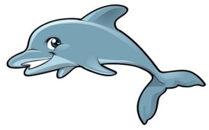 a picture of dolphin