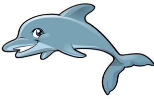 a picture of dolphin