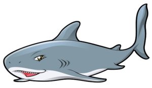 a picture of a shark