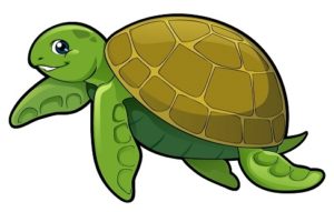a picture of a green turtle